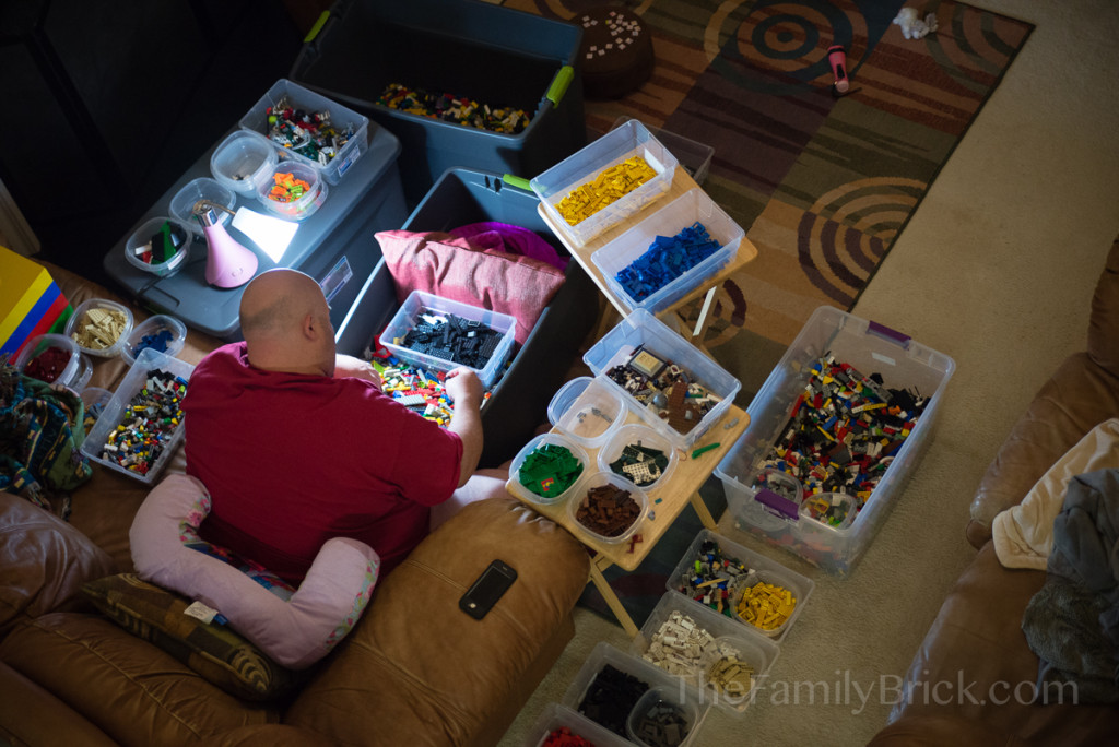 sorting-LEGO-bricks-6815
