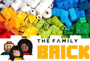 November 2016 LEGO Monthly Mini Build Fox Building Instructions